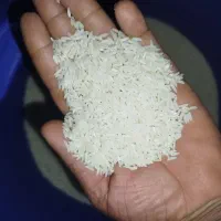 برنج دم‌سیاه