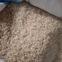 خورده برنج فجر ریز و درشت