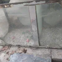 آکواریوم بزرگ