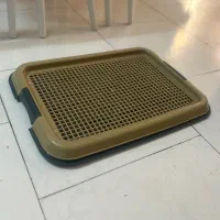 باکس سگ و سینی ادرار|لوازم جانبی حیوانات|تهران, تهرانپارس شرقی|دیوار