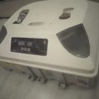 دستگاه جوجه کشی|لوازم جانبی حیوانات|قزوین, |دیوار