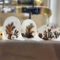 بارخونه شجر قائن|جواهرات|زنجان, |دیوار