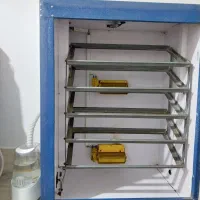 دستگاه جوجه کشی|لوازم جانبی حیوانات|آق قلا, |دیوار