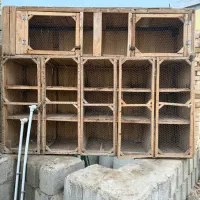 جفت کن کبوتر