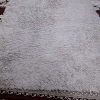 فرش شگی|فرش|رشت, یخسازی|دیوار