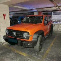 فروش تانک ۳۰۰ رنگ استثنایی