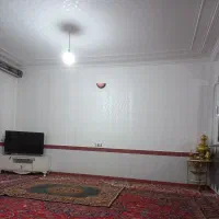 نقاشی ساختمان وطرح کاغذدیواری|خدمات پیشه و مهارت|مراغه, |دیوار