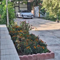 درب خانه باغ|مصالح و تجهیزات ساختمان|عجب شیر, |دیوار