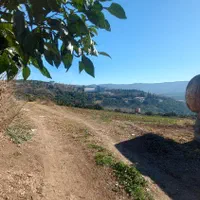 زمین دو نبش با چشم انداز ابدی|فروش زمین و ملک کلنگی|ارطه, |دیوار