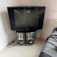 تلویزیون
