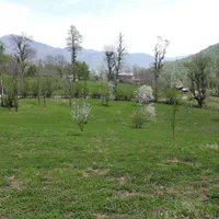 زمین ییلاقی ۴۲۰۰متر رضوانشهر