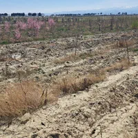 زمین حاشیه جاده/تهاتر /معاوضه|فروش زمین و ملک کلنگی|گلبهار, نوبهار|دیوار