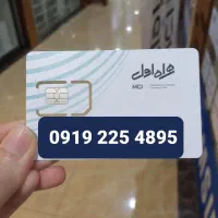 خط ۹۱۹ فقط و فقط یک میلیون و پانصد