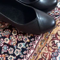 کفش زنانه|کیف، کفش، کمربند|کاشان, زیارتی|دیوار