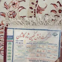 قالی 12متری|فرش|قروه, |دیوار