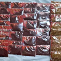 زعفران قاینات