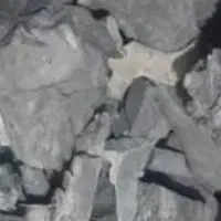 فروش ذغال