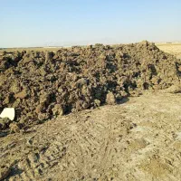 باسلام کود حیوانی نرم وسوخته وخاک باغچه ماسه بادی