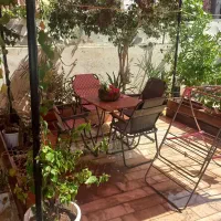 ویلایی،سفین