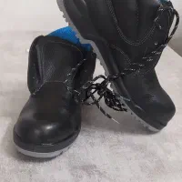 کفش کارایمنی