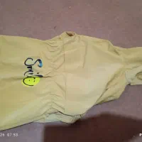 نو هستش|کفش و لباس بچه|محمدیه-قزوین, |دیوار