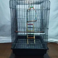 قفس عروس هلندی و مرغ عشق|لوازم جانبی حیوانات|لالجین, |دیوار