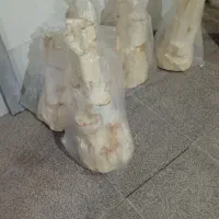 قطع قطع مغ  رایگان مجانی