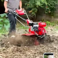 خدمات باغبانی|خدمات باغبانی و درختکاری|قم, پاسدار|دیوار