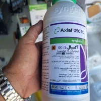 اکسیال علف کش سویسی گندم