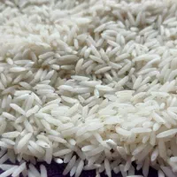 برنج طارم هاشمی