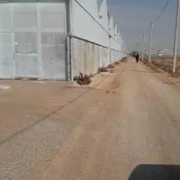گلخانه فول آپشن در بهترین موقیت مکانی|اجارهٔ دفتر صنعتی، کشاورزی، تجاری|شاهین‌شهر, گرگاب|دیوار