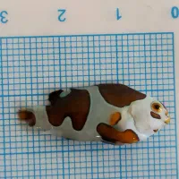 انواع دلقک ماهی آبشور