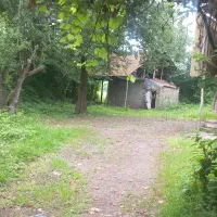 خرید-و-فروش-زمین-باغ-شالیزار-ویلا-روستا-املاک-صفا