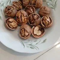 گردو درجه۱ تویسرکان استان همدان|خوردنی و آشامیدنی|شیراز, پودنک|دیوار