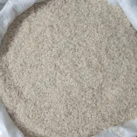 برنجشالی محلی فجر|خوردنی و آشامیدنی|آزادشهر, |دیوار