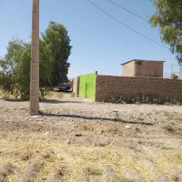 فروش-گاوداری-شیری-پرواری-گوساله