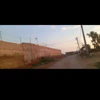 زمین واقع در خیابون روبروی تالار الماس|فروش زمین و ملک کلنگی|سوسنگرد, |دیوار