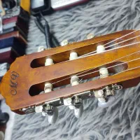 گیتار MV|گیتار، بیس، امپلیفایر|زنجان, |دیوار