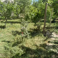 خانه ویلایی پایین طالقان روستای شکرناب|فروش خانه و ویلا|طالقان, |دیوار