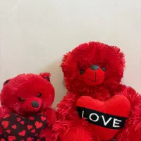 خرس و گربه عروسک
