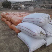 فروش علف(سوزه)|لوازم جانبی حیوانات|جوانرود, |دیوار