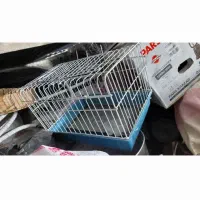 سلام گلباقی وابلق|پرنده|سمنان, |دیوار