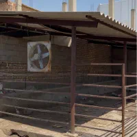 اجاره حیاط سر پوشیده مخصوص کارگاه و غیره
