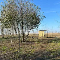 آرامش در دل طبیعت