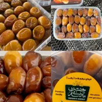 عرضه رطب و خرمای تازه از شرکت نخل خشت صالحی