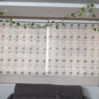 پرده زبرا (شب و روز)