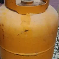 پیکنیک دوقلو