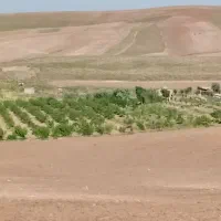 باغ