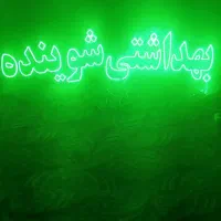 نیون شوینده و بهداشتی|فروشگاه و مغازه|تهران, مسعودیه|دیوار