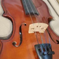 ویلون بسیار کم کارکرد رناتو